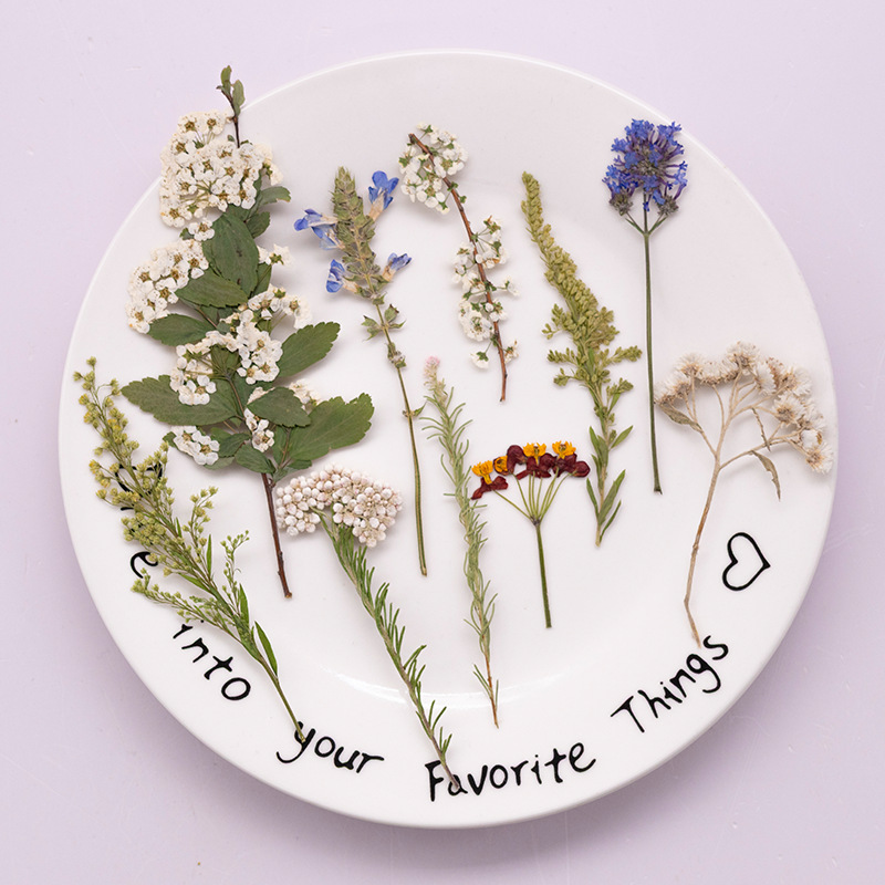 Dried Flower Bookmark - 500 قطعة من الزهور المجففة الكبيرة،