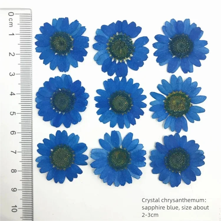 100 قطعة من بتلات زهور الأقحوا - مراجعة Dried Flower Bookmark وسعره